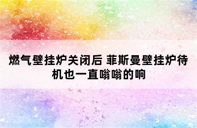 燃气壁挂炉关闭后 菲斯曼壁挂炉待机也一直嗡嗡的响